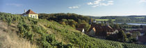  Diesbar-Seublitz, Sachsen, Germany von Panoramic Images