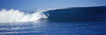 Surfer in the sea, Tahiti, French Polynesia by Panoramic Images