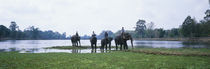Siem Reap River & Elephants Angkor Vat Cambodia by Panoramic Images