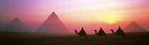 Giza Pyramids Egypt by Panoramic Images