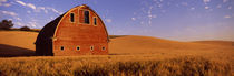 Old barn in a wheat field, Palouse, Whitman County, Washington State, USA by Panoramic Images
