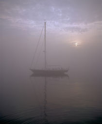 Mount Desert Island, Hancock County, Maine, USA by Panoramic Images