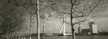 Bridge Over A River, Erasmus Bridge, Rotterdam, Netherlands by Panoramic Images