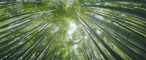 Kamakura, Kanagawa Prefecture, Kanto Region, Honshu, Japan by Panoramic Images