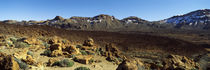  Tenerife, Canary Islands, Spain von Panoramic Images