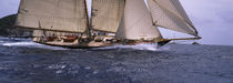 Sailboat in the sea, Schooner, Antigua, Antigua and Barbuda von Panoramic Images