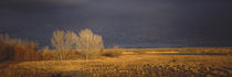  Socorro County, New Mexico, USA von Panoramic Images
