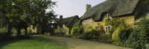 Cottage in a village, Hidcote Bartrim, Gloucestershire, England by Panoramic Images