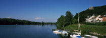 Boats moored at the lakeside, Greifenstein, Lower Austria, Austria by Panoramic Images