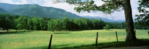 Panorama Print - Great Smoky Mountains Nationalpark, Tennessee, USA von Panoramic Images