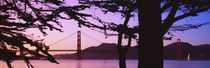 Suspension Bridge Over Water, Golden Gate Bridge, San Francisco, California, USA by Panoramic Images