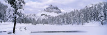 Tre Cime Di Lavaredo, Dolomites, Cadore, Province of Belluno, Veneto, Italy by Panoramic Images