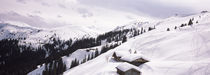 Wildschonau, Kufstein, Tyrol, Austria by Panoramic Images