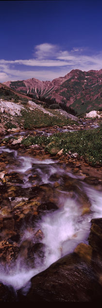 Rock formations in a creek, Crested Butte, Gunnison County, Colorado, USA by Panoramic Images