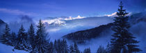 Trees on a polar landscape, Simplon Pass, Switzerland by Panoramic Images