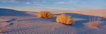 USA, New Mexico, White Sands, sunset von Panoramic Images
