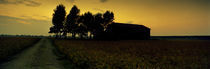 Silhouette of a farmhouse at sunset, Polesine, Veneto, Italy by Panoramic Images