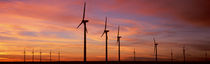  Wind Turbine In The Barren Landscape, Brazos, Texas, USA von Panoramic Images