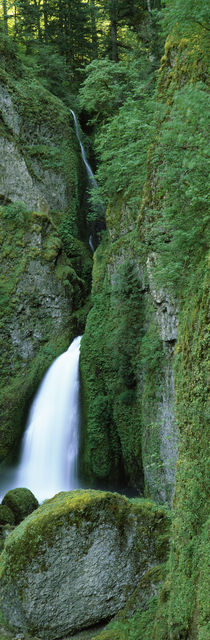 Waterfall in a forest, Columbia River Gorge, Oregon, USA von Panoramic Images