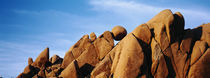 Close-up of rocks, Mojave Desert, Joshua Tree National Monument, California, USA von Panoramic Images
