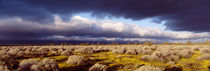  Clouds, Mojave Desert, California, USA von Panoramic Images