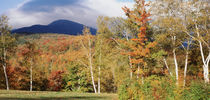  White Mountain National Forest, Bartlett, New Hampshire, USA von Panoramic Images