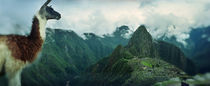  Machu Picchu, Cusco Region, Peru von Panoramic Images