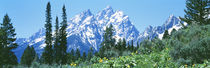 Grand Teton National Park WY USA von Panoramic Images