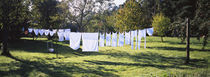Clothes drying on a clothesline in a backyard, Baden-Wurttemberg, Germany by Panoramic Images