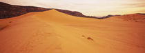 Sand dunes in a desert, Coral Pink Sand Dunes State Park, Utah, USA by Panoramic Images