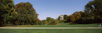 Autumnal trees in a park, English Garden, Munich, Bavaria, Germany von Panoramic Images