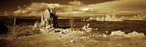 Tufa rock formations at the lakeside, Mono Lake, California, USA by Panoramic Images