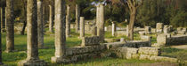 Ruins of columns, Ancient Olympia, Peloponnese, Greece von Panoramic Images