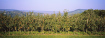  Heilbronn, Stuttgart, Baden-Württemberg, Germany von Panoramic Images