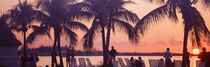 Sunset on the beach, Miami Beach, Florida, USA von Panoramic Images