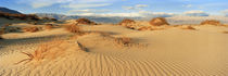  Death Valley National Park, California, USA von Panoramic Images