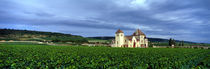 Panorama Print - Grand Cru Weinberg, Burgund, Frankreich von Panoramic Images