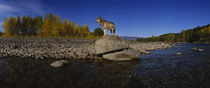 Wolf standing on a rock at the riverbank, US Glacier National Park, Montana, USA von Panoramic Images