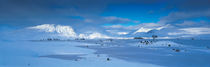 Trossachs National Park Scotland UK von Panoramic Images