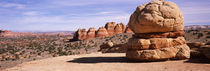 Coyote Butte, Paria Canyon-Vermilion Cliffs Wilderness, Utah, USA by Panoramic Images