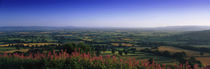 Trees on a landscape, Uley, Cotswold Hills, Gloucestershire, England by Panoramic Images