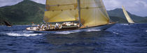 Yacht racing in the sea, Antigua, Antigua and Barbuda von Panoramic Images