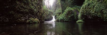  Eagle Creek, Hood River County, Oregon, USA von Panoramic Images