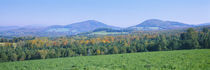 Trees with a mountain range in the background, Northeast Kingdom, Vermont, USA von Panoramic Images