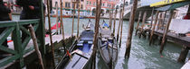 Gondolas moored near a bridge, Rialto Bridge, Grand Canal, Venice, Italy by Panoramic Images