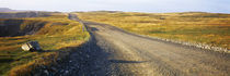 Newfoundland, Newfoundland and Labrador, Canada by Panoramic Images