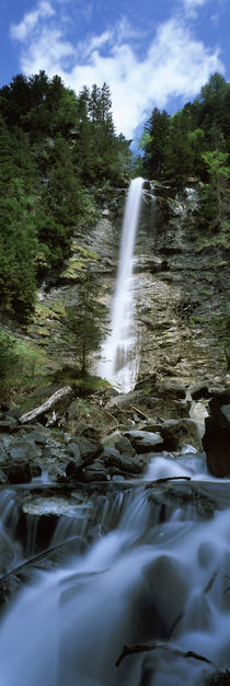 Waterfall in a forest, Tatschbachfall, Engelberg, Obwalden Canton, Switzerland von Panoramic Images
