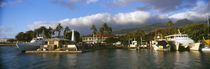Boats at a harbor, Lahaina Harbor, Lahaina, Maui, Hawaii, USA by Panoramic Images