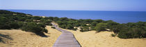  Donana National Park, Huelva Province, Spain von Panoramic Images