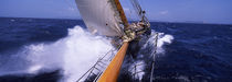 Sailboat in the sea, Antigua, Antigua and Barbuda von Panoramic Images